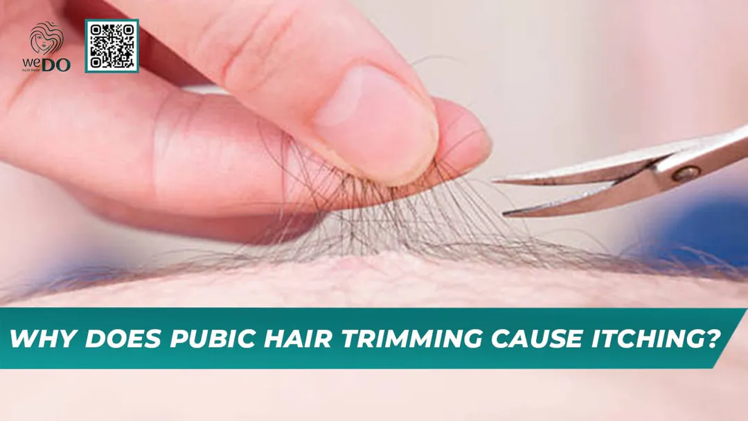 Why Does Pubic Hair Trimming Cause Itching?
