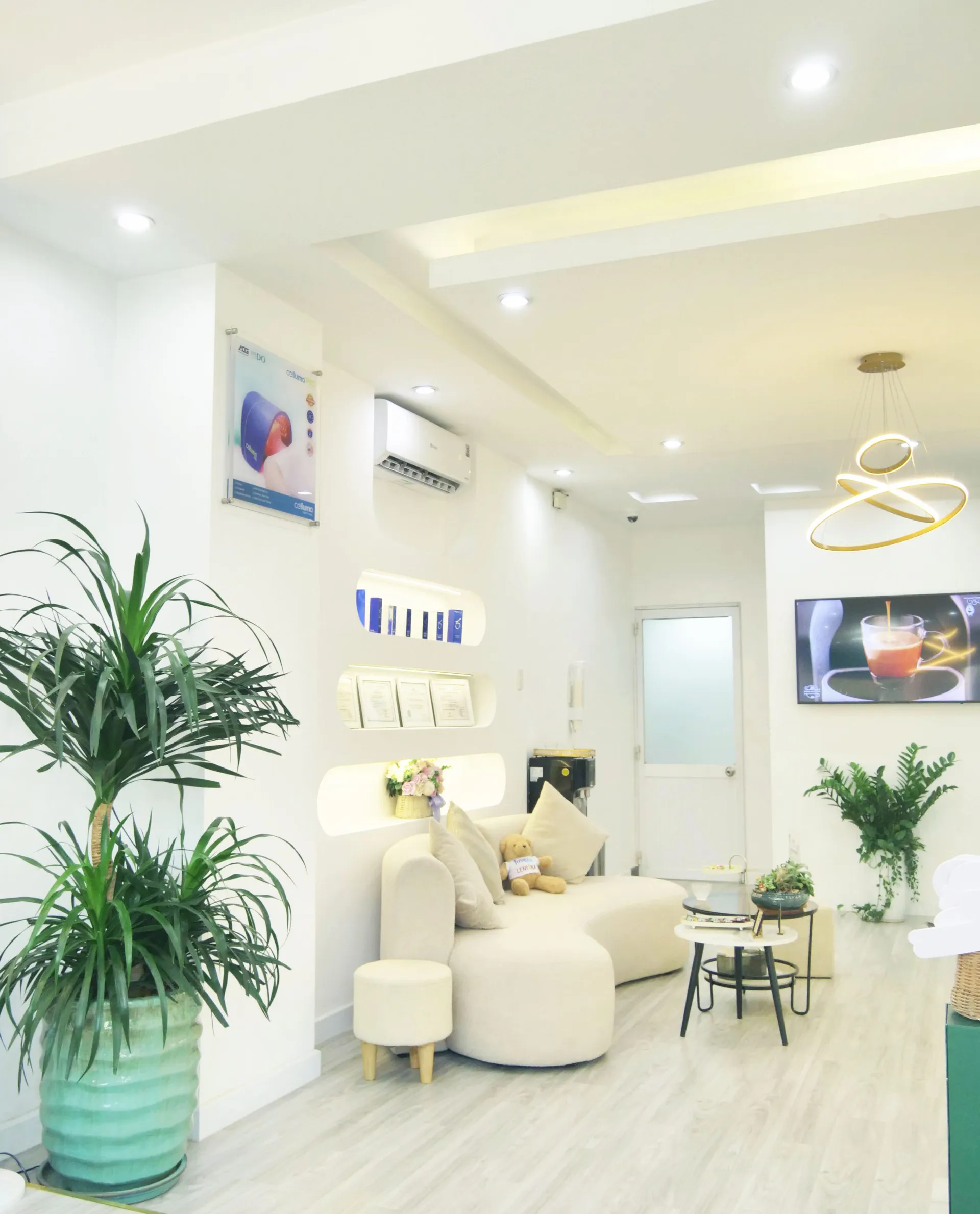 Khu tư vấn & tiếp đón