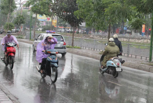 viêm da cơ địa